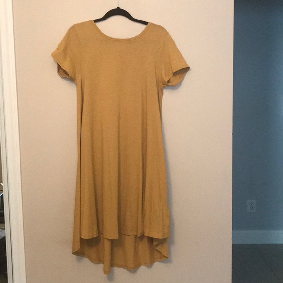 Carly - Picture 1 of 4